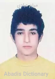 میثم عبادی